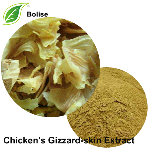 Chicken's Gizzard-skin Extract