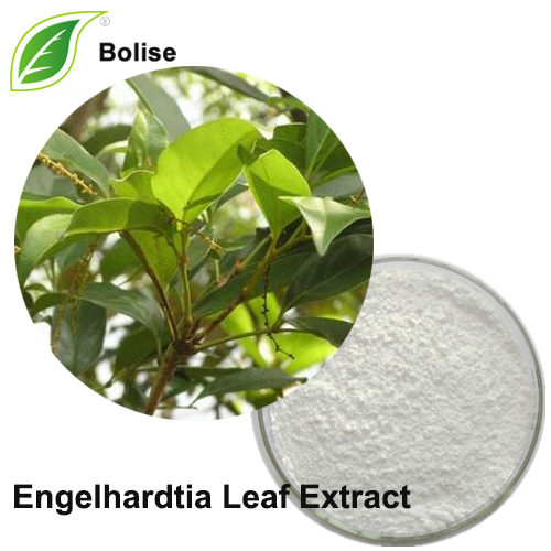 Engelhardtia Leaf Extract(Engelhardtia chrysolepis leaf extract)