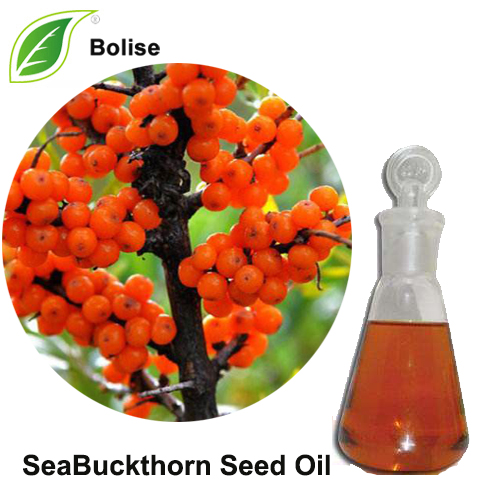 SeaBuckthorn Seed Oil