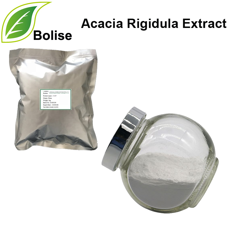 Acacia Rigidula Extract