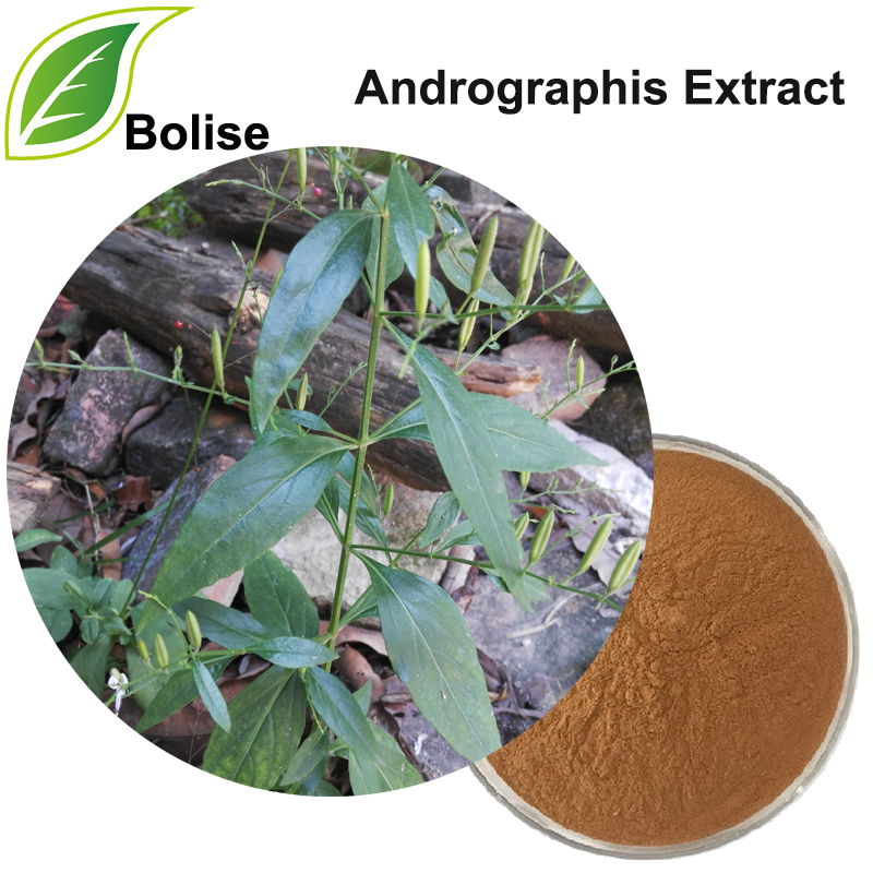 Common Andrographis Herb Extract(Herba Andrographitis Extract)