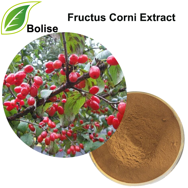 Asiatic Cornelian Cherry Fruit Extract(Fructus Corni Extract)