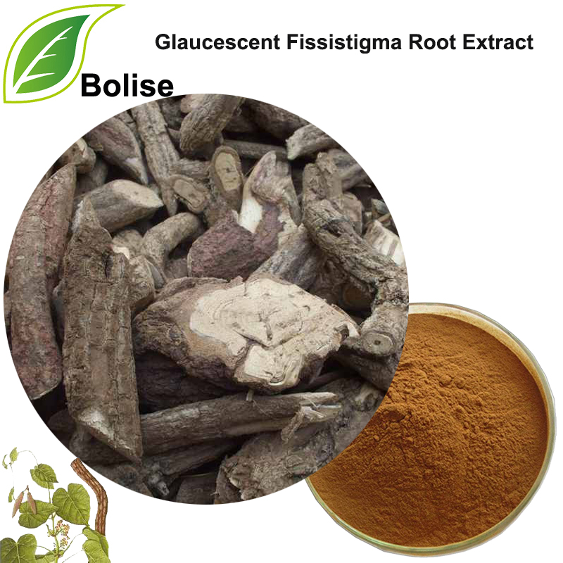 Glaucescent Fissistigma Root Extract(Radix Fissistigmae Glaucesscentis Extract)