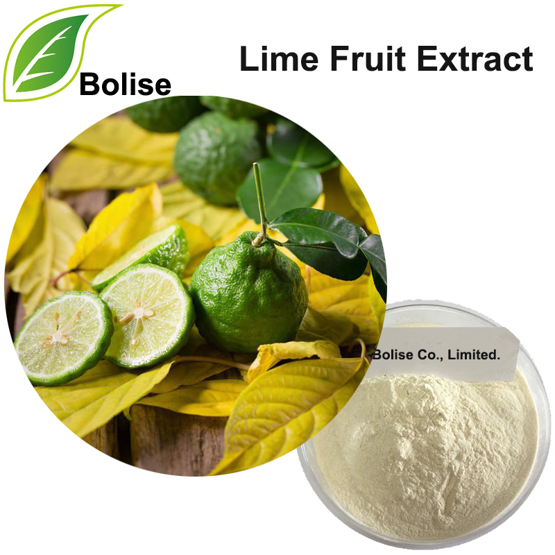 Lime Fruit Extract