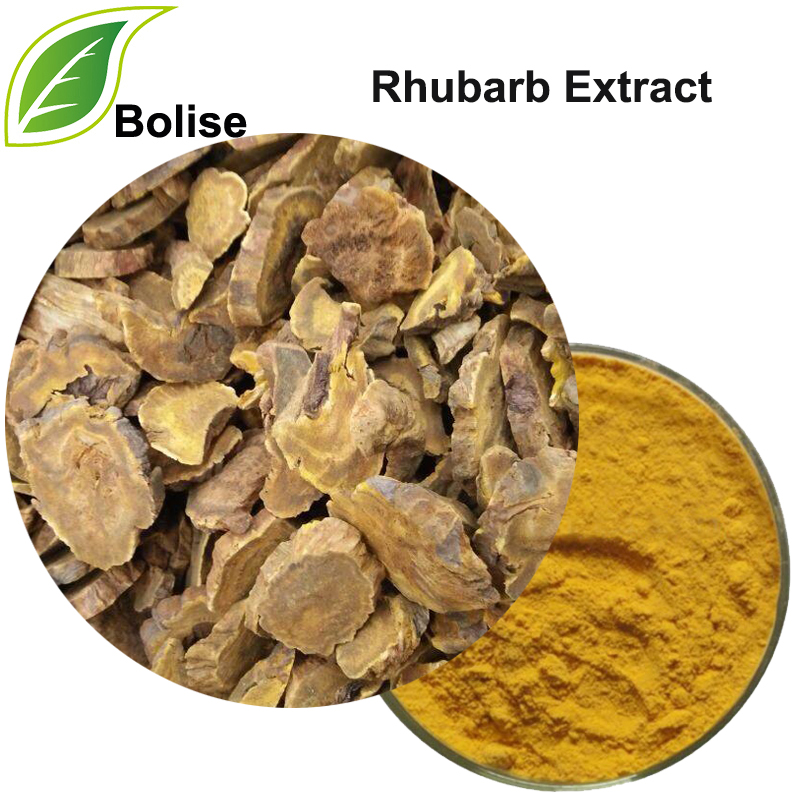 Rhubarb Extract(Radix et Rhizoma Rhei Extract)