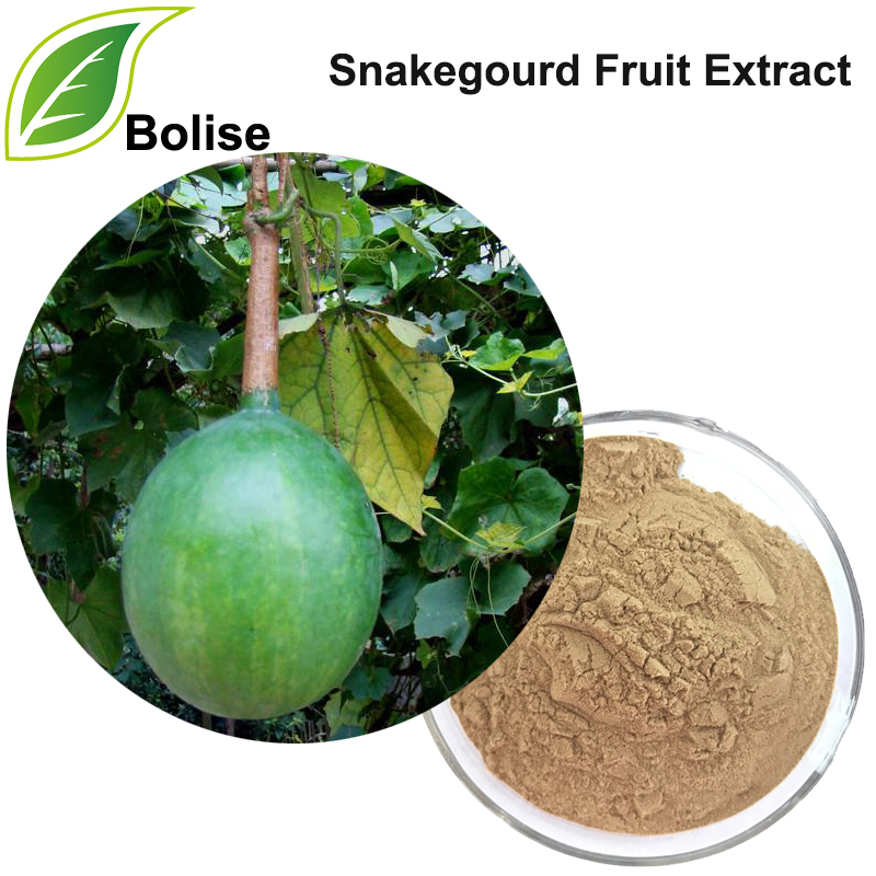 Snakegourd Fruit Extract(Fructus Trichosanthis Extract)