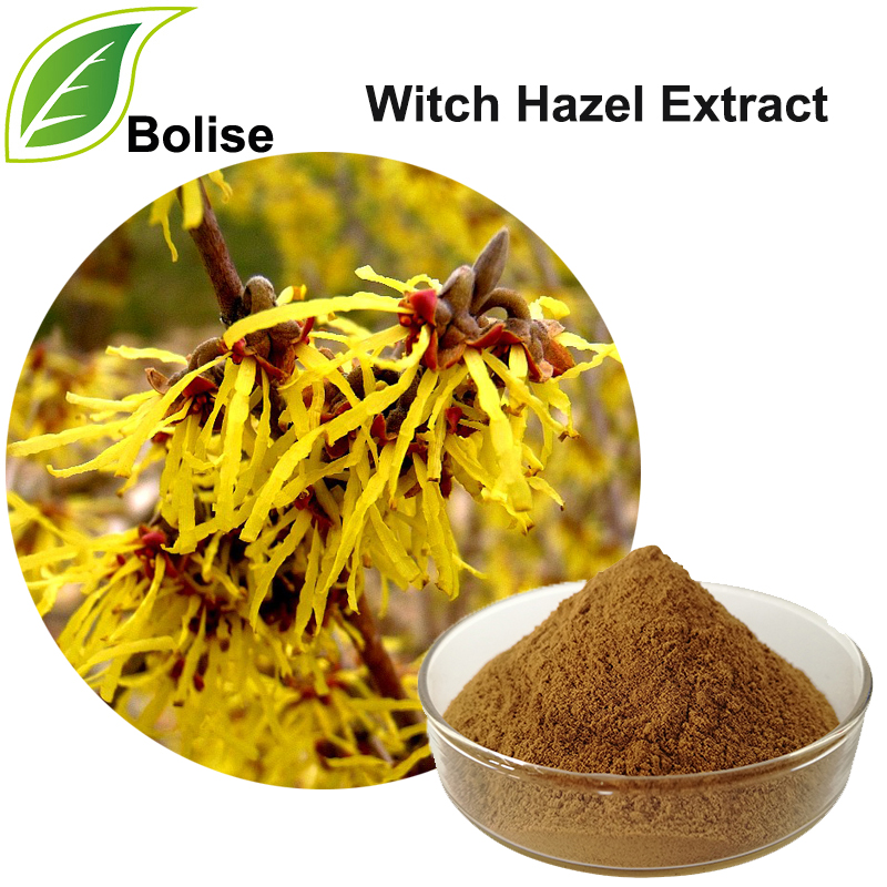 Hamamelis Virginiana Extract(Witch Hazel Extract)