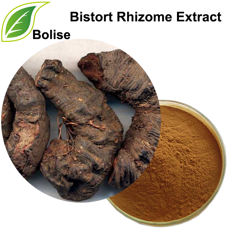 Bistort Rhizome Extract(Rhizoma Bistortae Extract)
