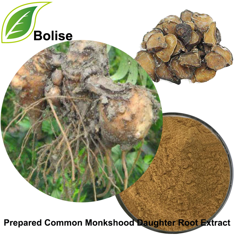 Prepared Common Monkshood Daughter Root Extract
