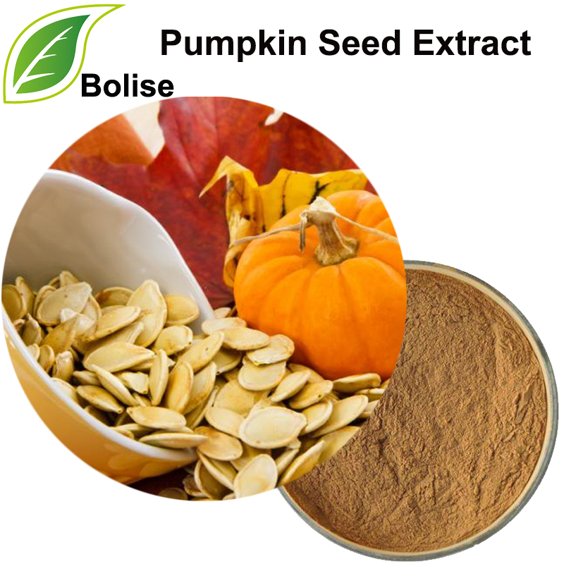 Pumpkin Seed Extract(Pepitas Extract)