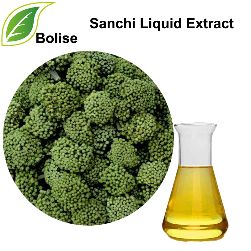 Sanchi Liquid Extract