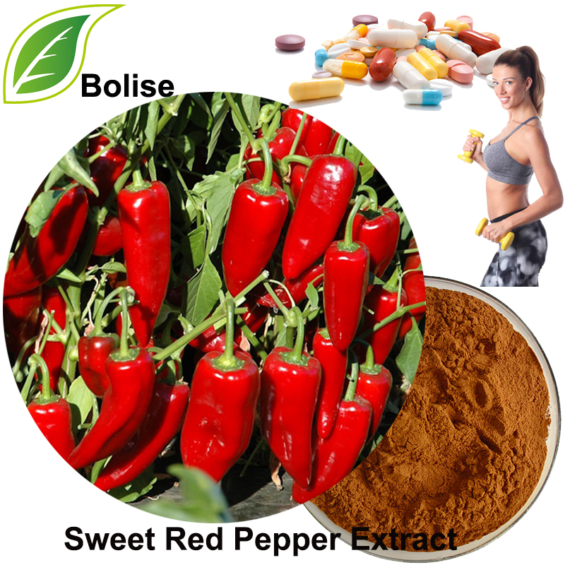 CH-19 Sweet Red Pepper Extract(Capsiate Extract)