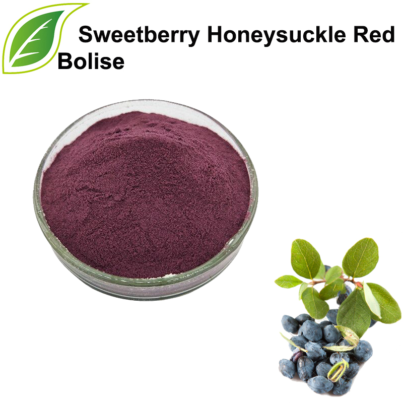 Sweetberry Honeysuckle Red