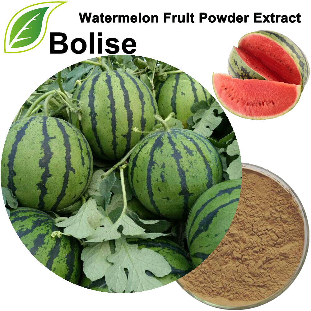 Watermelon Fruit Powder Extract