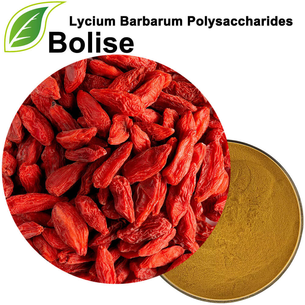 Lycium Barbarum Polysaccharide(LBP)