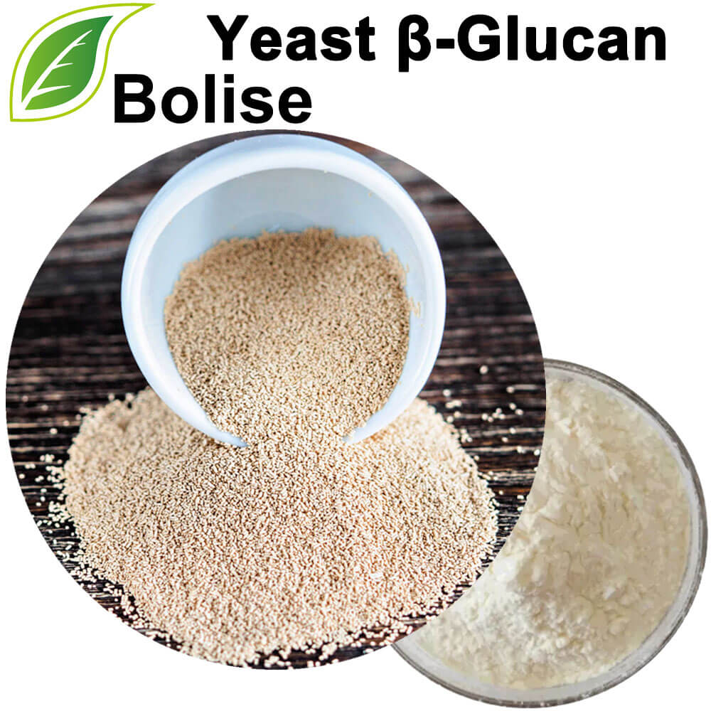 Yeast β-Glucan