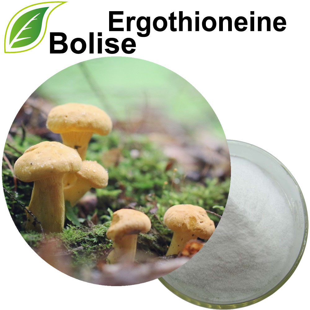 Ergothioneine(Golden Mushroom Extract)