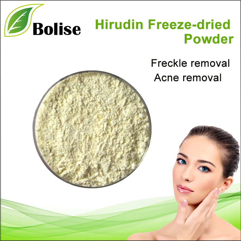 Hirudin Freeze-dried Powder