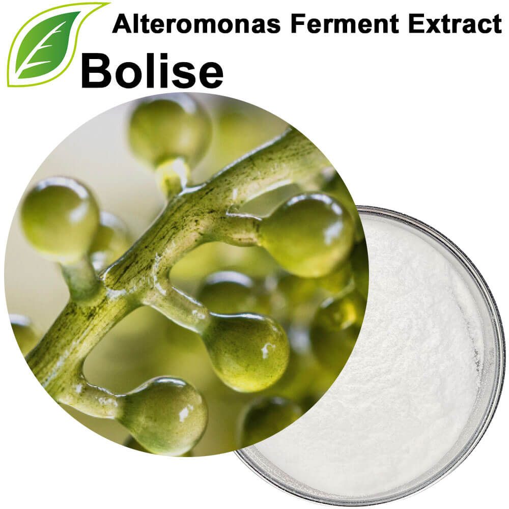 Alteromonas Ferment Extract Alteromonas Ferment Extract