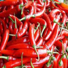 Paprika red Color Paprika red Color