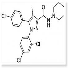Rimonabant Rimonabant