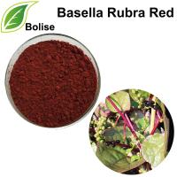 Basella Rubra Red
