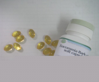 Wheat Germ Oil Soft Capsule Wheat Germ Oil Soft Capsule