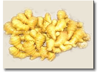 Ginger Root Extract, Zingiberis Recens Rhizoma Extract Ginger Root Extract, Zingiberis Recens Rhizoma Extract