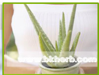 Succo di estratto di aloe vera