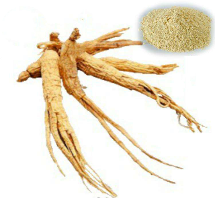 Ginseng brezilyen (Pfaffia glomerata) èkstre