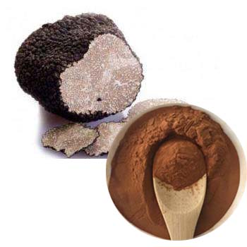 Black Truffle Extract