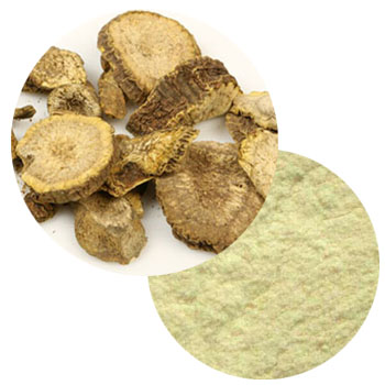 Calumba Root Extract (Cocculus Palmatus Extract) Calumba Root Extract (Cocculus Palmatus Extract)