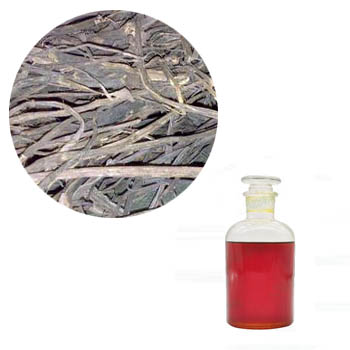 Primula Root Liquid Extract (Primula Root Fluid Extract)