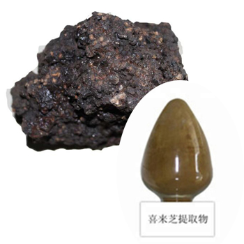 Shilajit（50％+黄腐酸）提取物粉末