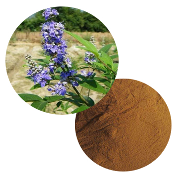 Vitex Agnus Castus提取物（Cherry Berry）提取物粉末