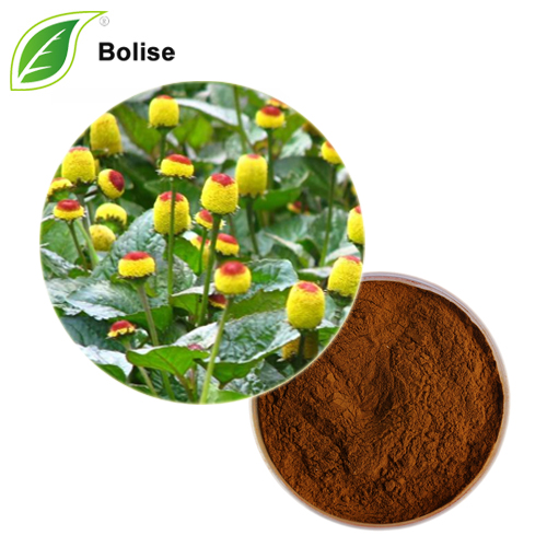 Acmella Oleracea Flower Extract Acmella Oleracea Flower Extract