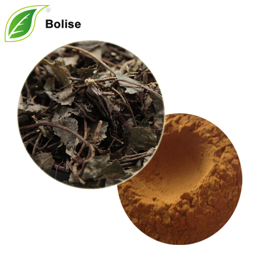 Japanese Ardisia Herb Extract