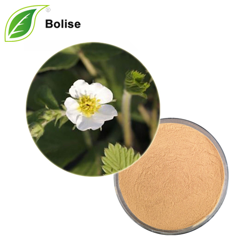 Potentilla Alba Extract