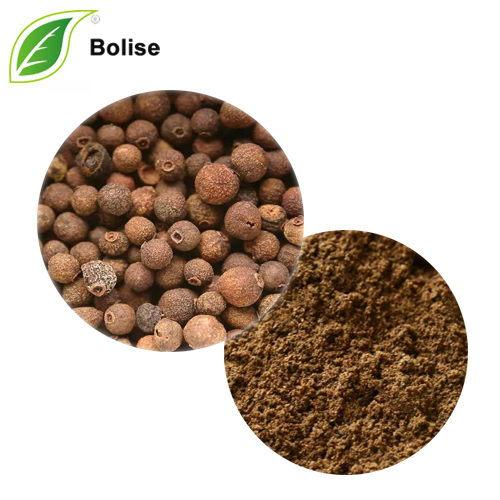 Allspice Extract