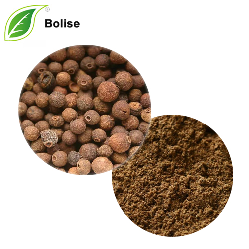 Chiết xuất Allspice