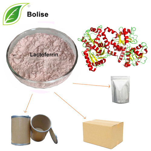 Lactoferrin (LF) Lactoferrin (LF)