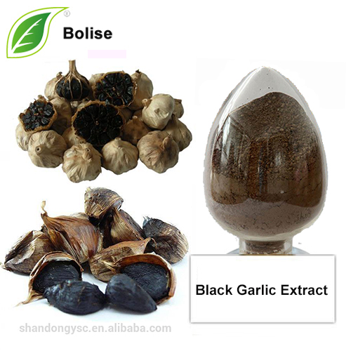 Black Garlic Extract Powder