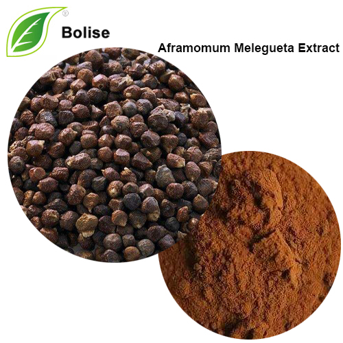 Aframomum Melegueta / Դրախտի քաղվածքներ