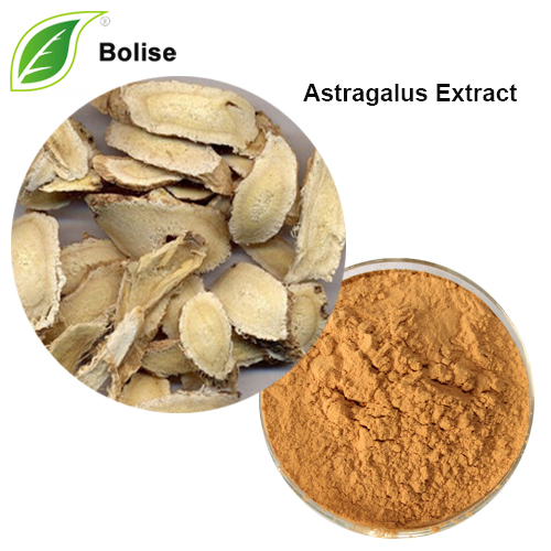 Astragalus ekstrakts