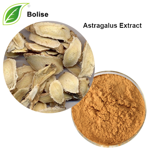 Astragalus Ekstrakt