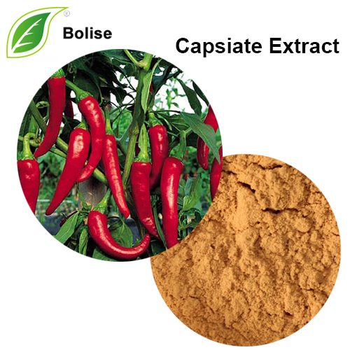 Capsicum Annuum Extract(Capsiate Extract) Capsicum Annuum Extract(Capsiate Extract)