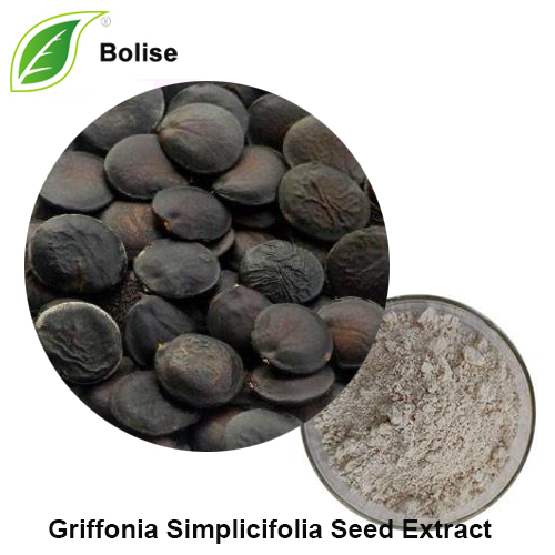 Griffonia Simplicifolia -uute