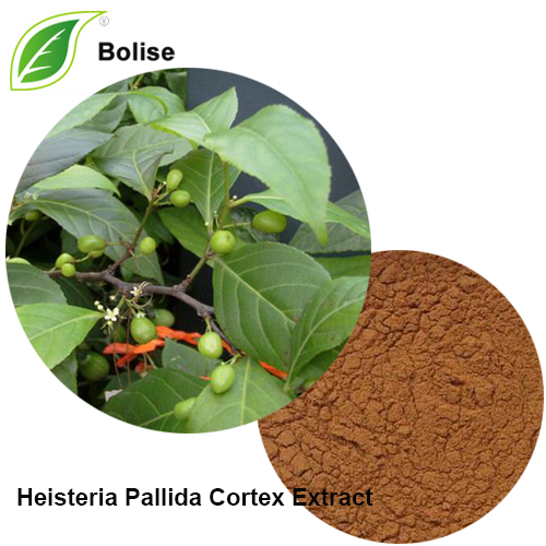 Heisteria Pallida Cortex -extrakt