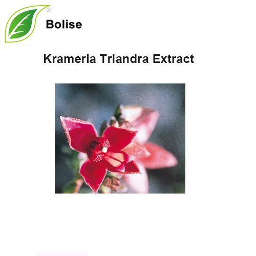 Ekstrakt Krameria Triandra (ekstrakt Rtatany)