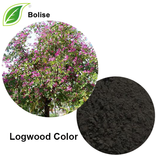 Logwood Color